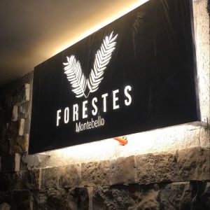 Fabricación de panel 3d en acer inoxidable para forestes